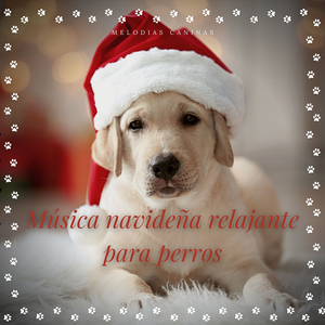 Pata feliz