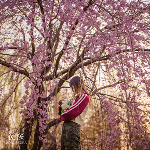 徒桜