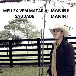 Meu Ex Vem Matar a Saudade