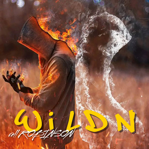 Wildn'
