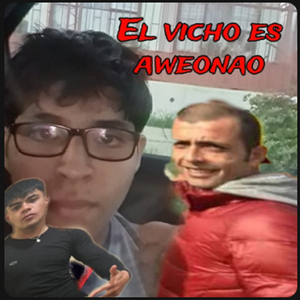 El Vicho Es Aweonao