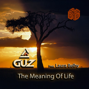 The Meaning of Life (Radio Edit)