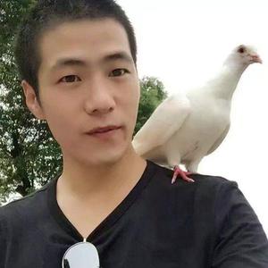 红尘来去一场梦