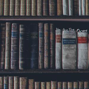 We Are The Ones (with Noah Novak)