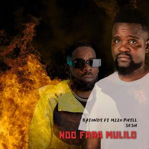 Ndo Fara Mulilo (feat. Mizo Phyll & Sesh)