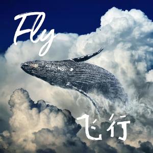 飞行