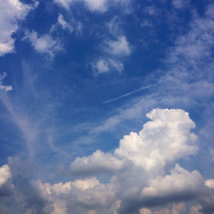 曾经非主流的壁虎的故事