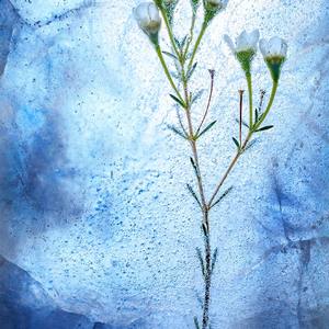 White Noise 1300 Hz, Pt. 3