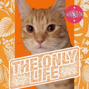 The Only Life (Radio Edit)