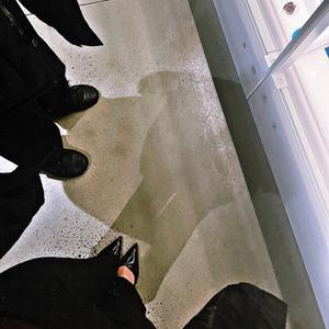 Bad To The Bone (feat. Hellcat Music 730)