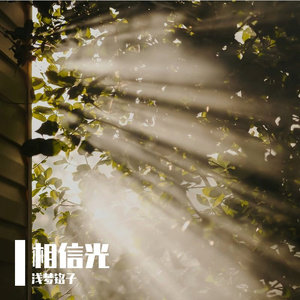 平凡日子里寻找光