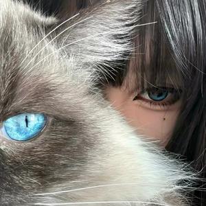 我要的不是势均力敌