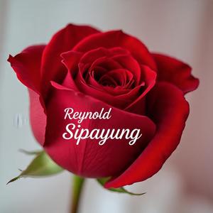 Ada Namun Tiada (Cinta yang tulus)