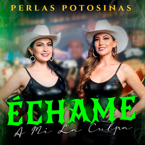 Échame A Mi La Culpa