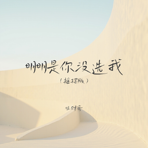 明明是你没选我(摇摆版)