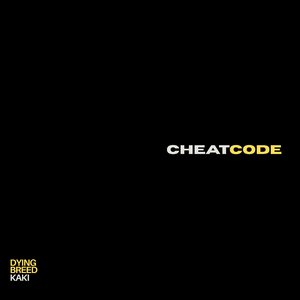 Cheatcode