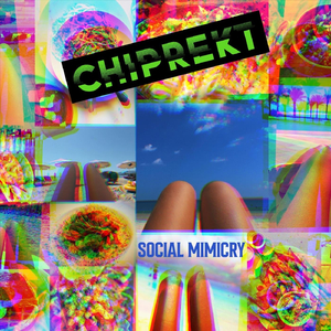 Social Mimicry