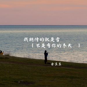 我期待的就是雪 (不是有你的冬天)