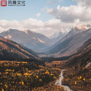 青云上的牵绊 -古筝