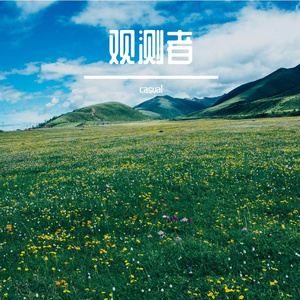 观测者