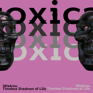 Timeless Shadows of Life