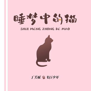 睡梦中的猫