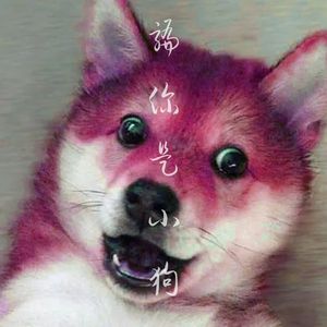 骗你是小狗（DJ版）