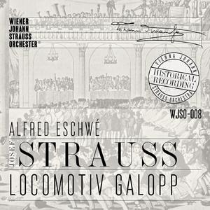 Dänische Holzschuh Polka, Op. 255