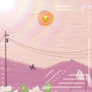 Meat floss cake（Prodby LRUI17）