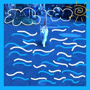 我对这片大海没有一点意见