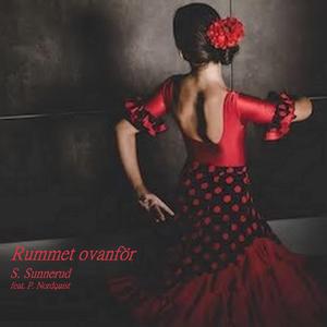 Rummet Ovanfor (feat. Petra Nordquist)