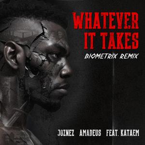 Whatever it Takes (feat. Kataem) (Biometrix Remix)