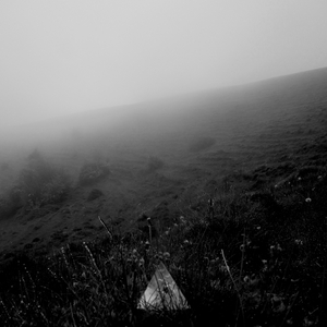 Winter in the Wildest of Woods