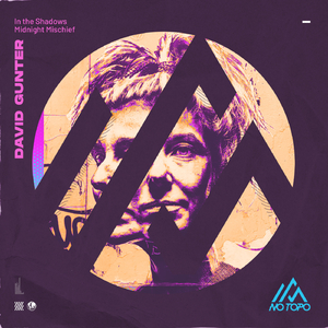 In the Shadows (Extended Mix)