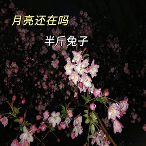 海边的黄昏约定