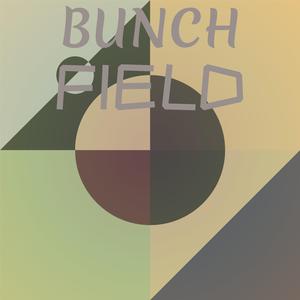Underdevelopment Perspective