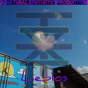 Lieblos (Synthetic Zay Tekk Remix )