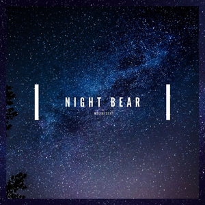 Night Bear