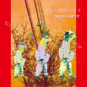 野生の動物の日々