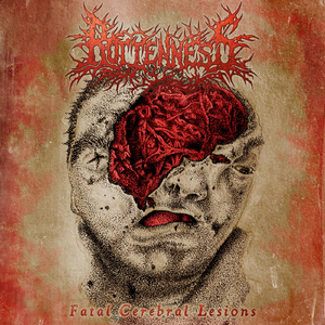 Incrementally Ingested