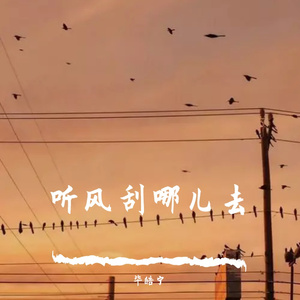 想说的话(remix)
