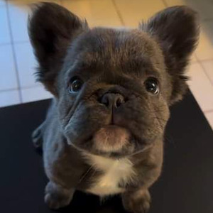 Eenie Meenie (slowed)