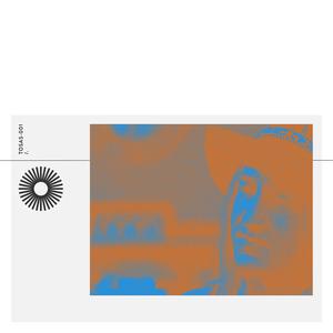 Wake The Vaulted Echo (Tigon Mix by THMC)