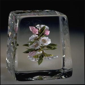 娃娃你家在哪里