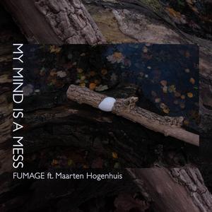 My Mind Is A Mess (feat. Maarten Hogenhuis)