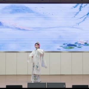 黄梅戏春风送暖到襄阳现场版.mp3