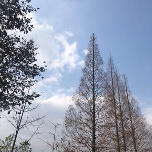 听风