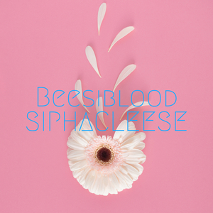 Beesiblood