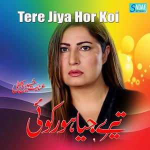 Noor Jahan Bhoolney waley se koi keh de zara