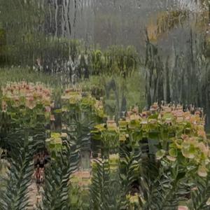 Raindrops (feat. Colis)